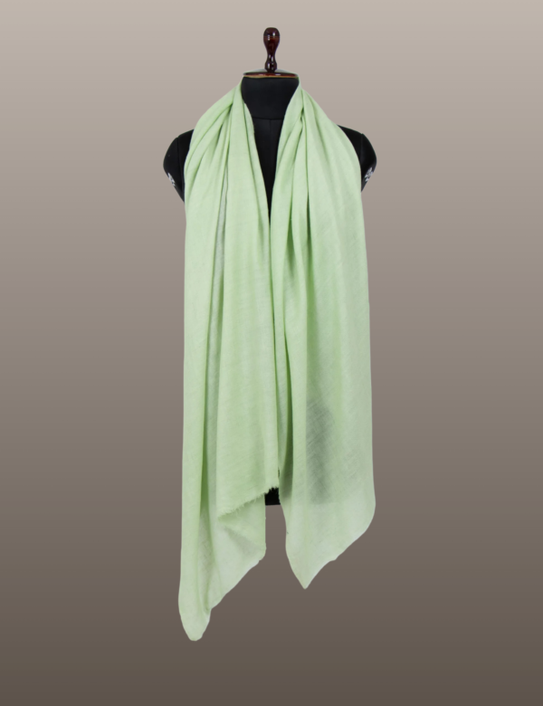 Pixie Green Solid Pashmina - Image 4