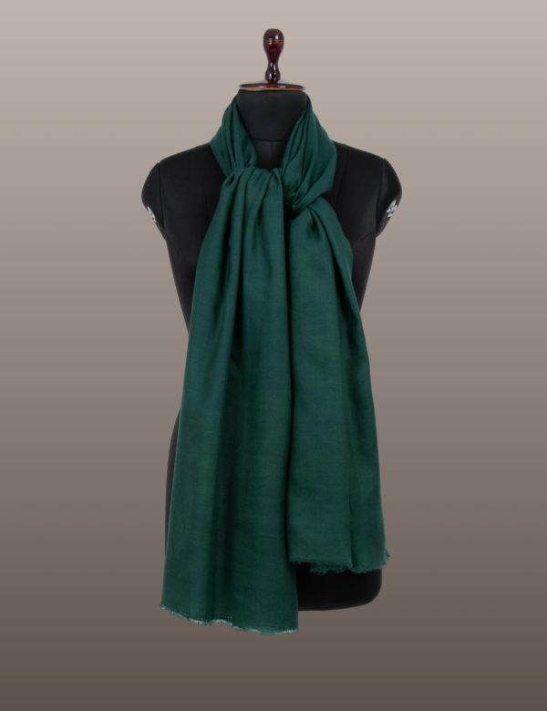 Green Solid Pashmina - Image 5