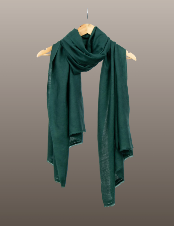 Green Solid Pashmina - Image 4