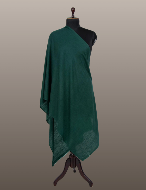 Green Solid Pashmina