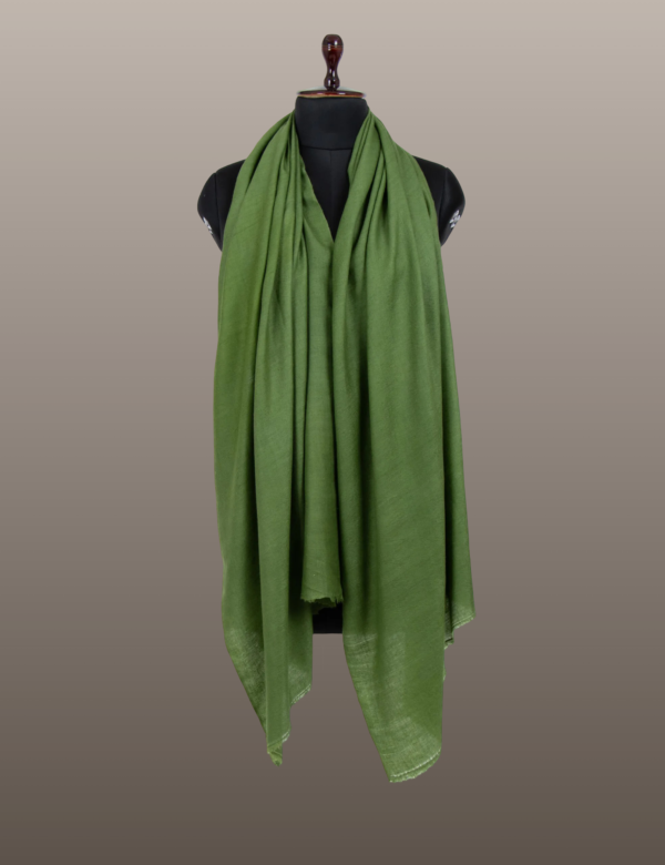 Dingley Green Solid Pashmina - Image 4