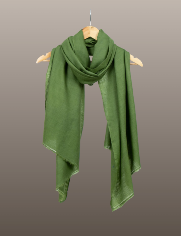 Dingley Green Solid Pashmina - Image 3