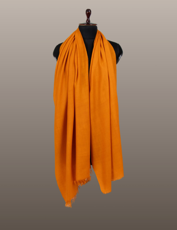 Meteor Orange Solid Pashmina - Image 4