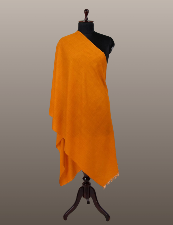 Meteor Orange Solid Pashmina