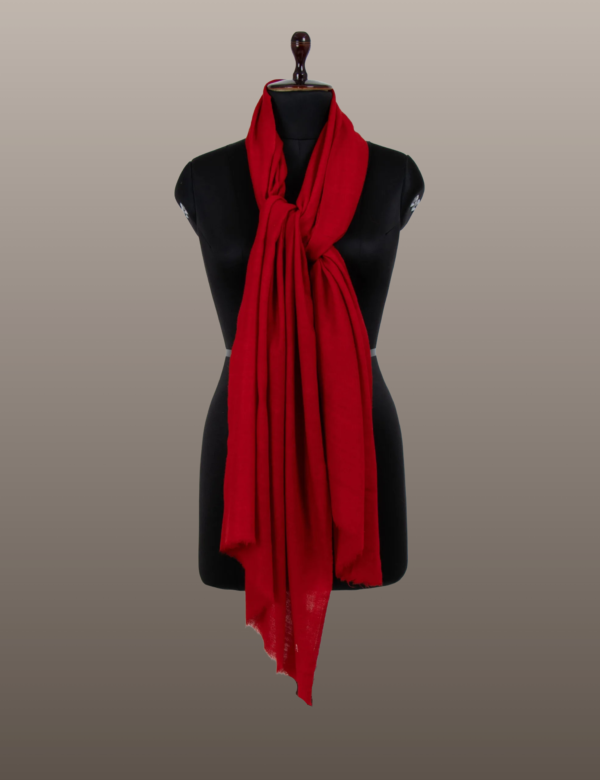 Dark Red Solid Pashmina - Image 2