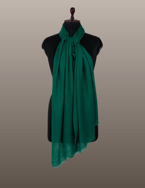 Aqua Deep Green Solid Pashmina